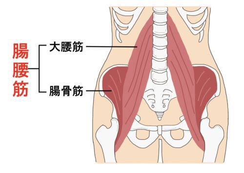 骨盤が引き締まる効果