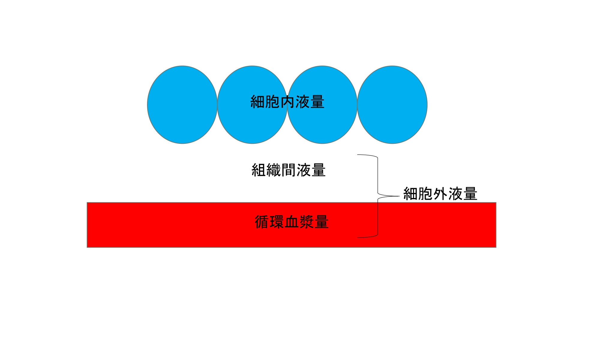 健康的に痩せているかをチェック